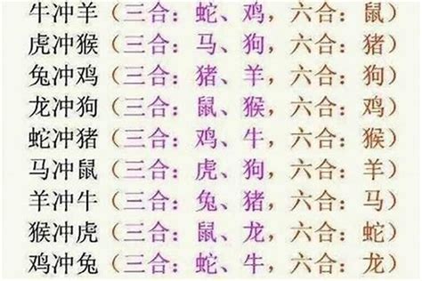 蛇馬羊三會|最全12生肖三合、六合、相衝、相害詳細講解！（上）。